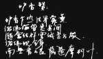 luxiangzan1.jpg